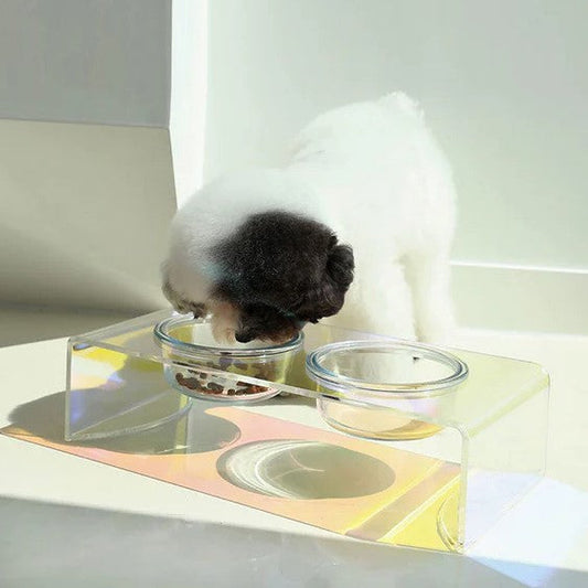 The Ultimate Guide to Pet Bowls: Choosing the Perfect One for Every Eater (and Every Home!)