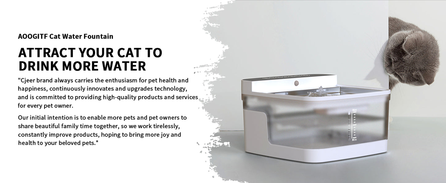 Pet Water Dispenser
