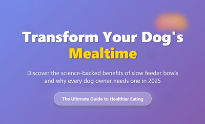 Transform Your Dog's Mealtime: The Ultimate Guide to Slow Feeder Bowls in 2025