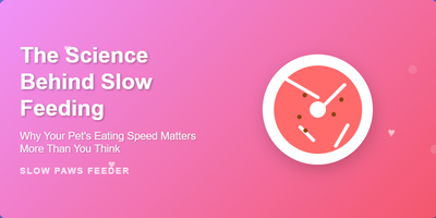 The Science Behind Slow Feeding: Why Your Pet's Eating Speed Matters More Than You Think