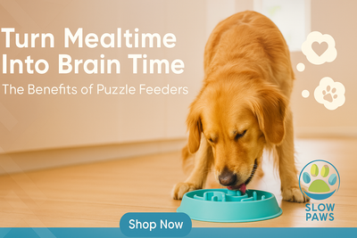 Why Your Dog Needs a Puzzle Feeder: The Ultimate Guide to Mental Stimulation and Healthy Eating