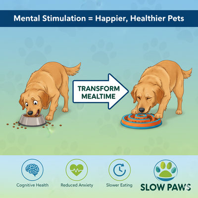 Why Your Pet Needs Mental Stimulation During Meals: The Science Behind Interactive Feeding
