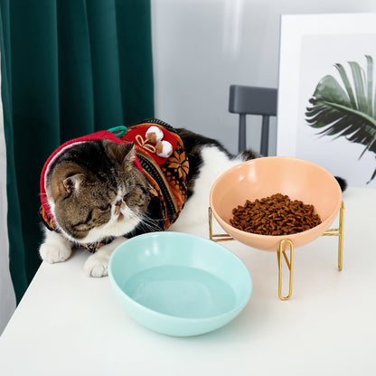 Stylish Tilted Ceramic Pet Bowl | Elevated & Digestion Friendly