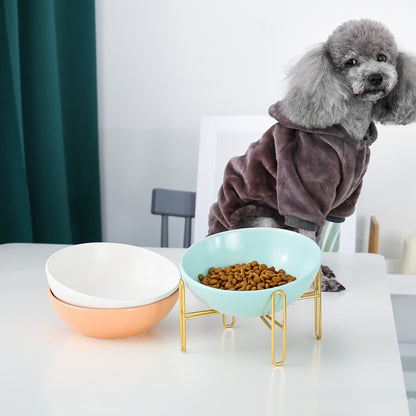 Stylish Tilted Ceramic Pet Bowl | Elevated & Digestion Friendly