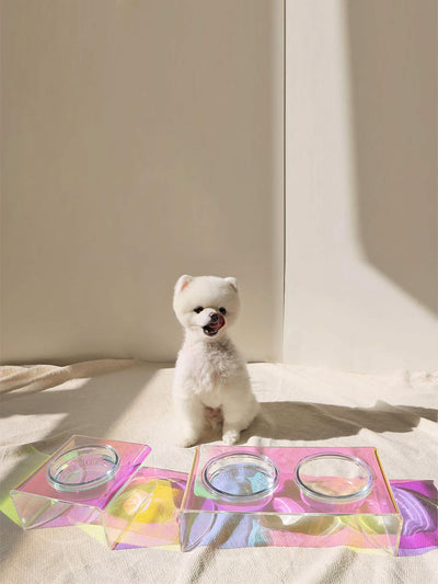 Acrylic Pet Dazzling Bowl null