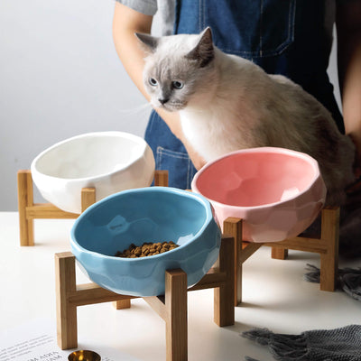 Tilted Pet Bowl null